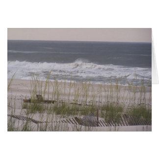 Orange Beach 63