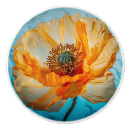 Orange Beauty Keramikknauf