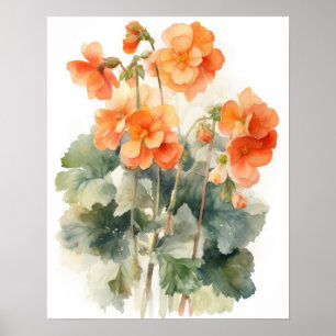 Orange Begonia Blume Art Print Poster