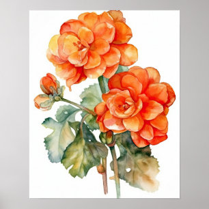 Orange Begonia Blume Art Print Poster