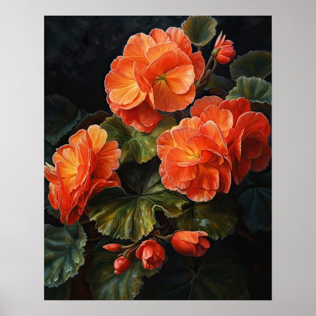 Orange Begonia Blume Art Print Poster (Vorne)