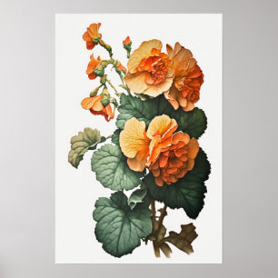Orange Begonias Blume Art Print Poster