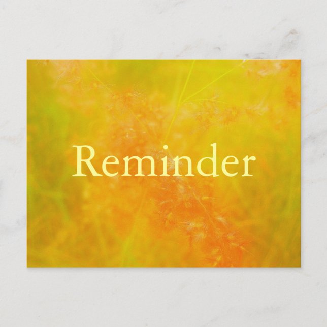 Orange berufliche Terminkarte Erinnerung Postkarte (Vorderseite)