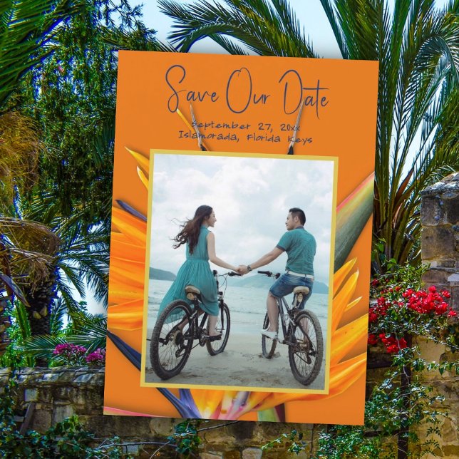 Orange Bird of Paradise Ankündigung Datum freihalt (Von Creator hochgeladen)