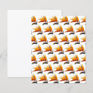Orange Bird of Paradise Muster Scrapbook Paper
