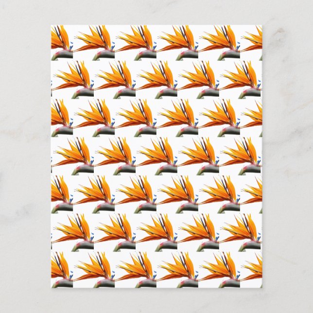 Orange Bird of Paradise Muster Scrapbook Paper (Vorderseite)