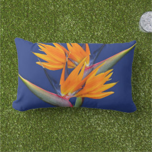 Orange Bird of Paradise Navy Throw Kissen Für Draußen