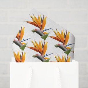 Orange Bird of Paradise Pflanze Blumenmuster Seidenpapier