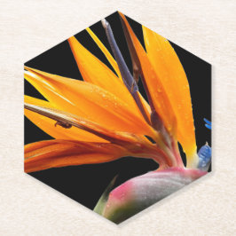 Orange Bird of Paradise Pflanze Blütenblume Untersetzer