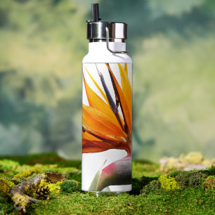 Orange Bird of Paradise Pflanze Trinkflasche