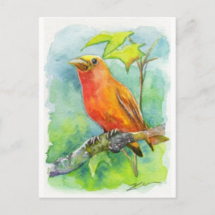 Orange Bird Postkarte