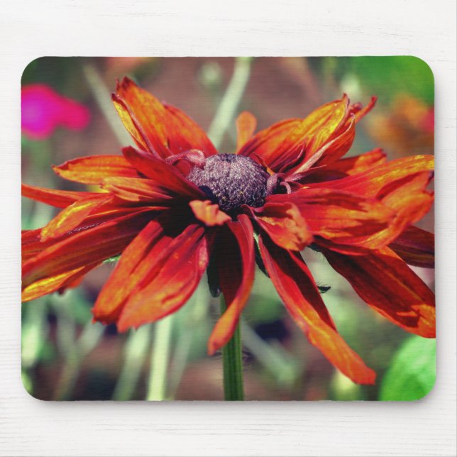 Orange Black Mit Augen Susan Blume Mousepad (Vorne)