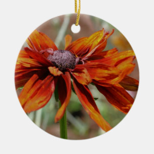 Orange Black Mit Augen Susan Blume Ornament