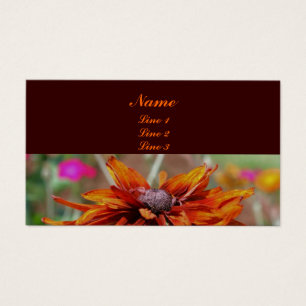 Orange Black Mit Augen Susan Daisy Blume
