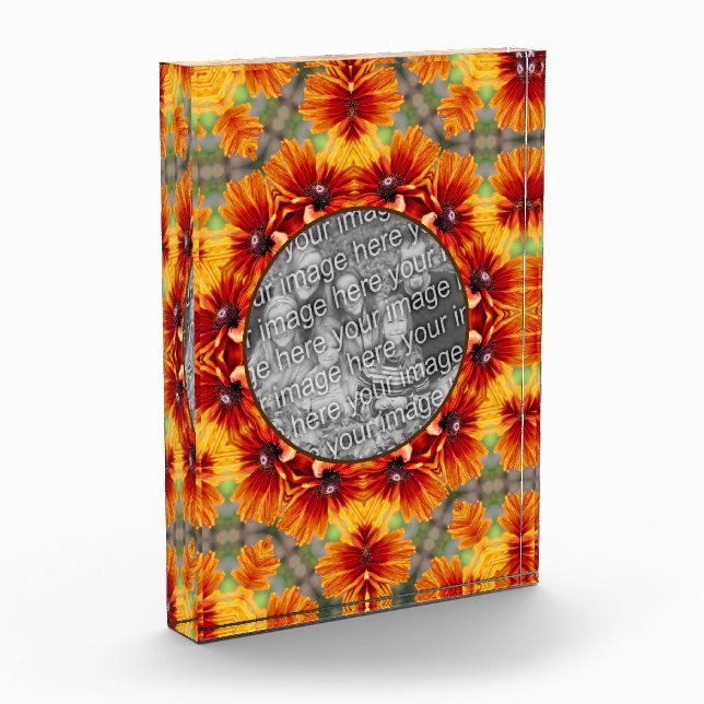 Orange Black Mit Augen Susan Daisy Fügen Sie Ihre Fotoblock (Links)