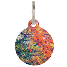 Orange Blätter Haustiermarke