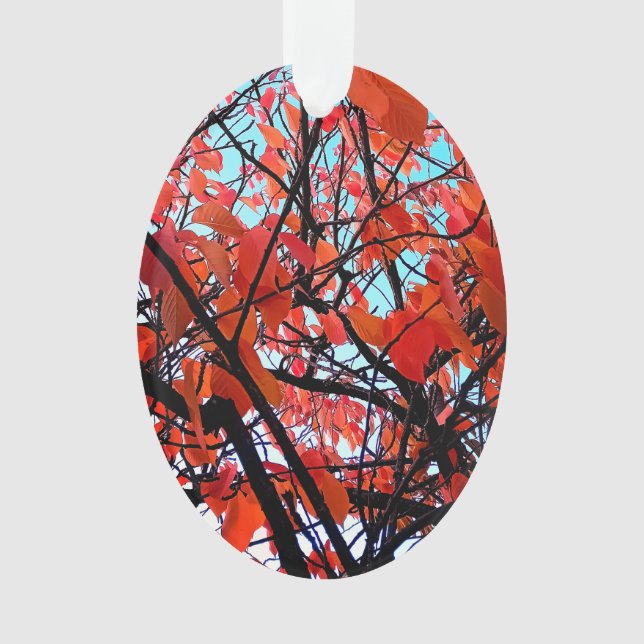 Orange Blätter Ornament (Vorderseite)