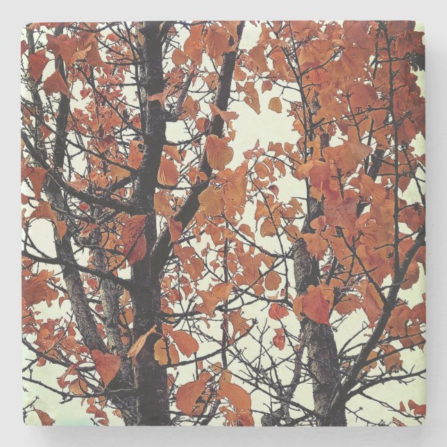 Orange Blätter Steinuntersetzer (Vorderseite)