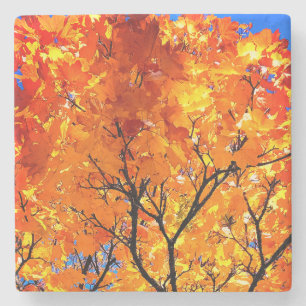 Orange Blätter Steinuntersetzer