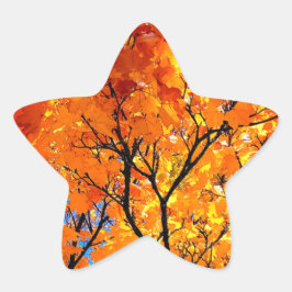 Orange Blätter Stern-Aufkleber