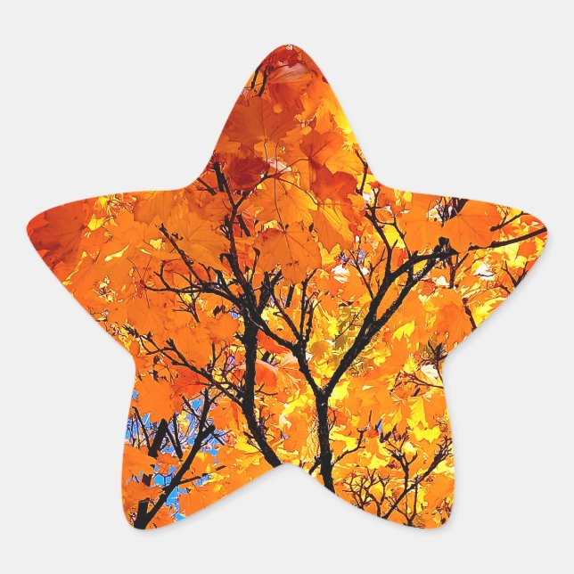 Orange Blätter Stern-Aufkleber (Vorderseite)