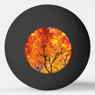 Orange Blätter Tischtennisball