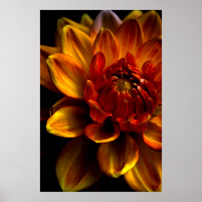 Orange Bloom Poster (Vorne)