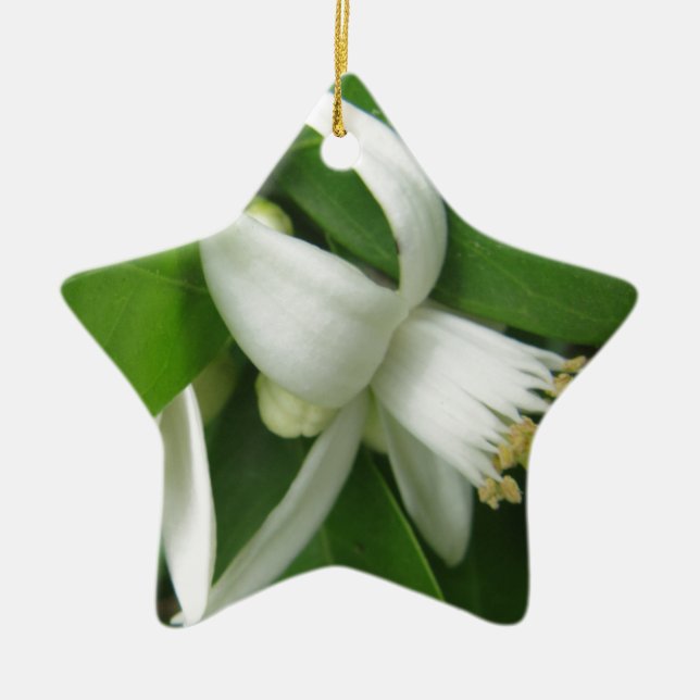 Orange Blossom Keramikornament (Vorne)