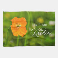 Orange blühende Mohnblume Blume auf grünem Individ