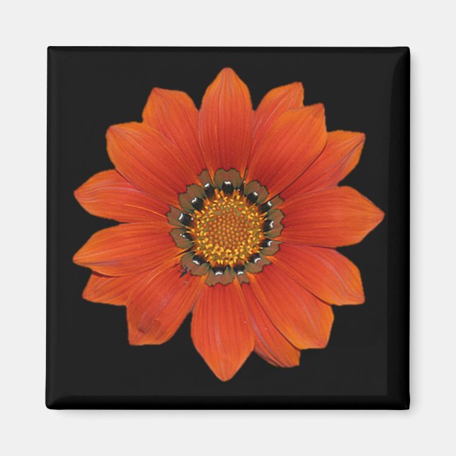 Orange Blume 2 Magnet (Vorne)