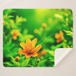 Orange Blume Bokeh Sunny Sherpadecke