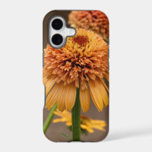 Orange Blume Delight