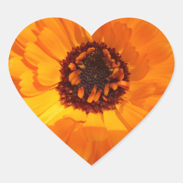 Orange Blume Heart Sticker (Vorderseite)