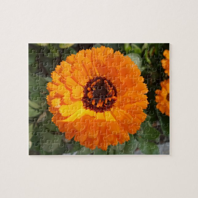 Orange Blume Jigsaw Puzzle (Horizontal)
