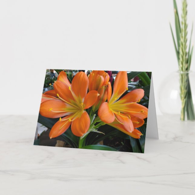 Orange Blume Karte (Vorderseite)