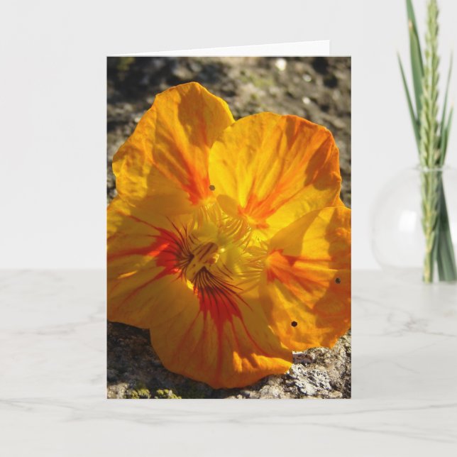 Orange Blume Karte (Vorderseite)