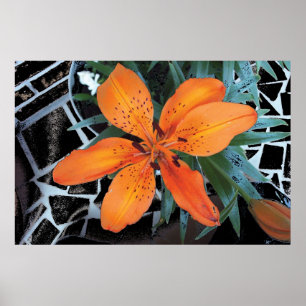 Orange Blume mit Hintergrund Poster