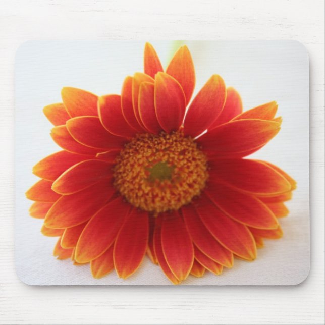 orange Blume Mousepad (Vorne)