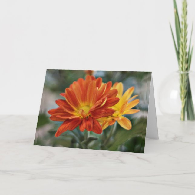Orange Blume Notecard Karte (Vorderseite)