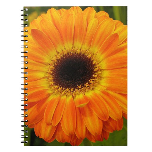 Orange-Blume Notizblock (Vorderseite)