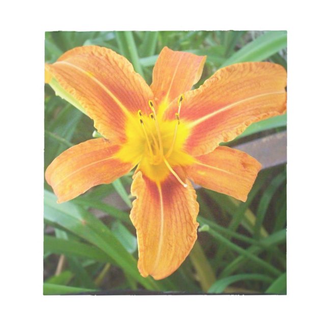 Orange Blume Notizblock (Vorderseite)