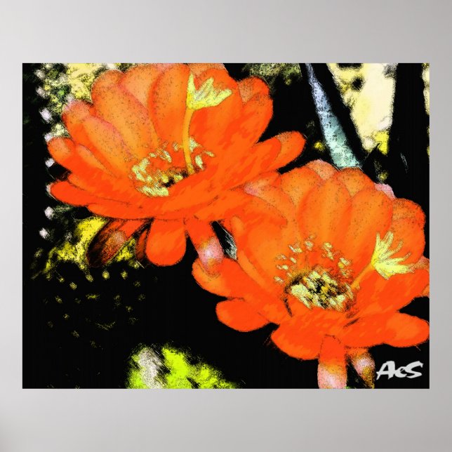 ORANGE-BLUME POSTER (Vorne)