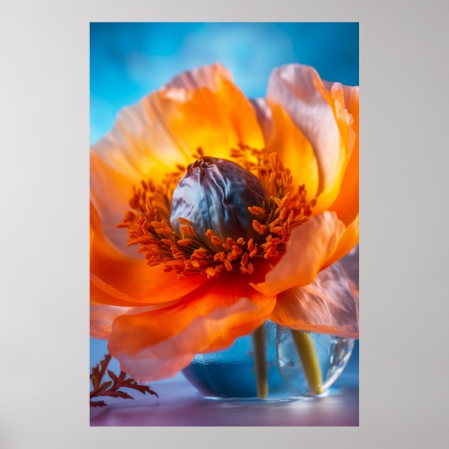 Orange Blume Poster (Vorne)