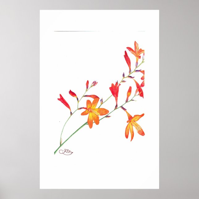 Orange Blume Poster (Vorne)