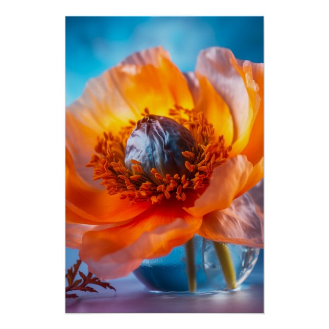Orange Blume Poster (Vorderseite)