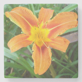 Orange Blume Steinuntersetzer