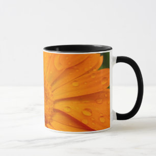 Orange Blume Tasse