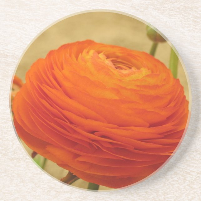 Orange Blume Untersetzer (Vorne)