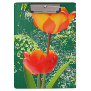 Orange-Blume-Zwischenablage Klemmbrett