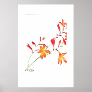 Orange Blumen Poster